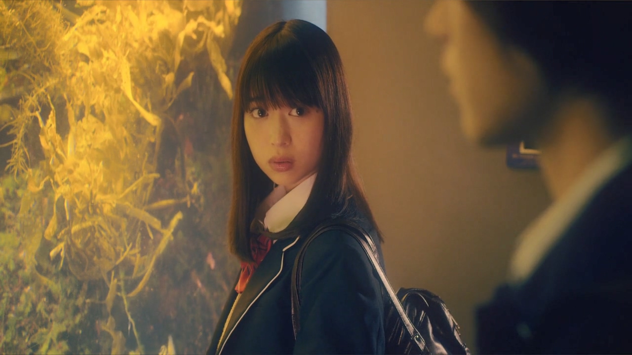 恋爱禁止的世界剧照的剧照