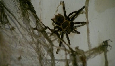 群尸屠城3剧照的剧照