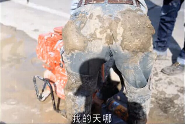 寻找薇薇安·迈尔剧照的剧照