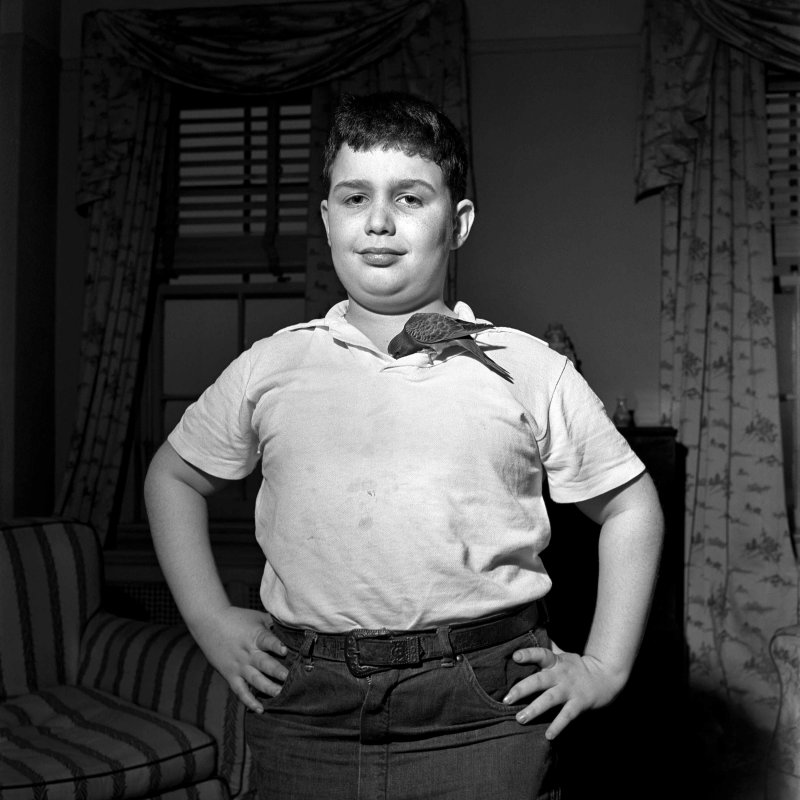 寻找薇薇安·迈尔剧照的剧照