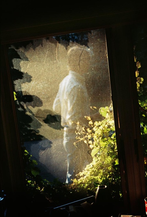 寻找薇薇安·迈尔剧照的剧照