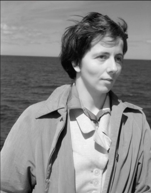 寻找薇薇安·迈尔剧照的剧照