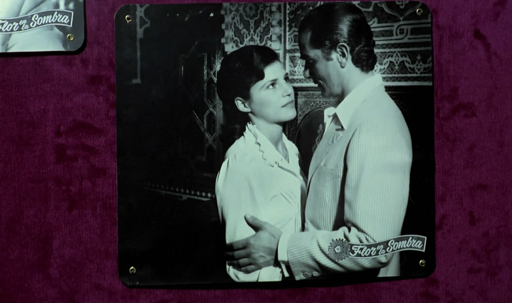 南方剧照的剧照