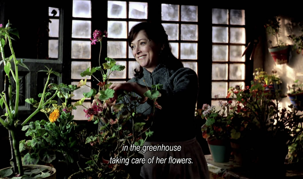 南方剧照的剧照