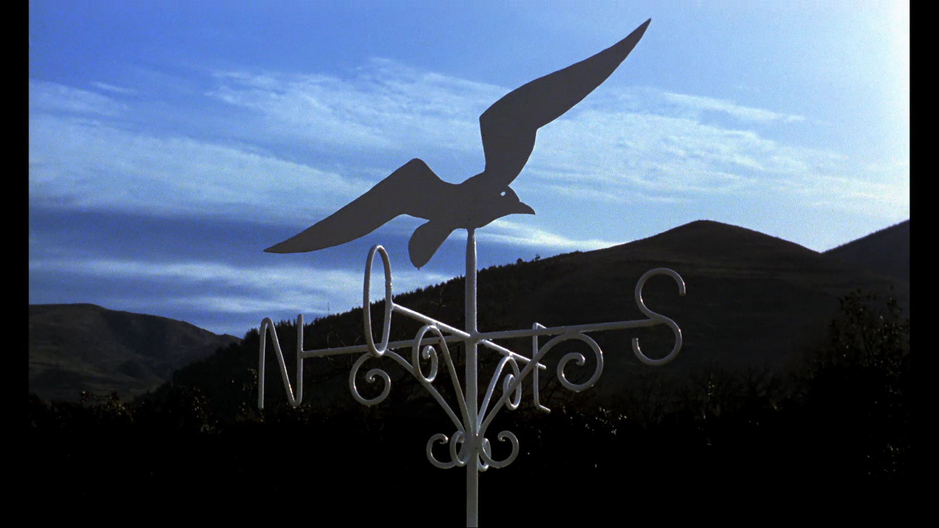 南方剧照的剧照