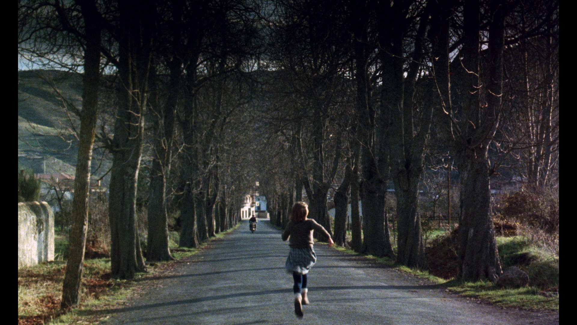 南方剧照的剧照