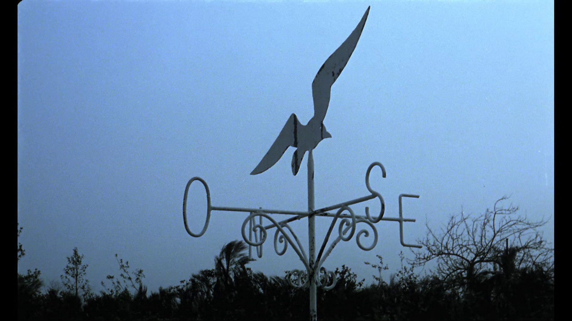 南方剧照的剧照