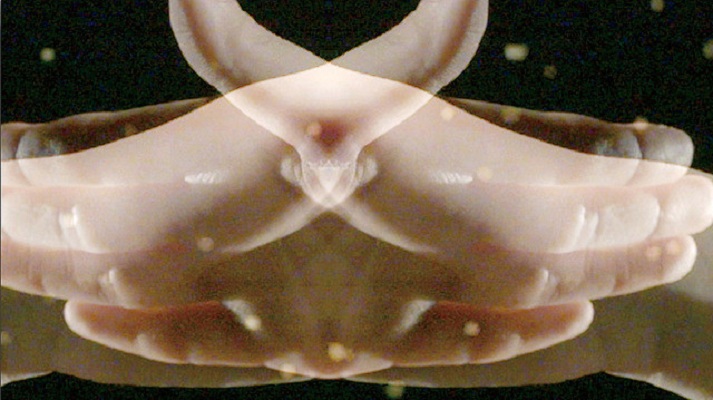 山田孝之3D剧照的剧照