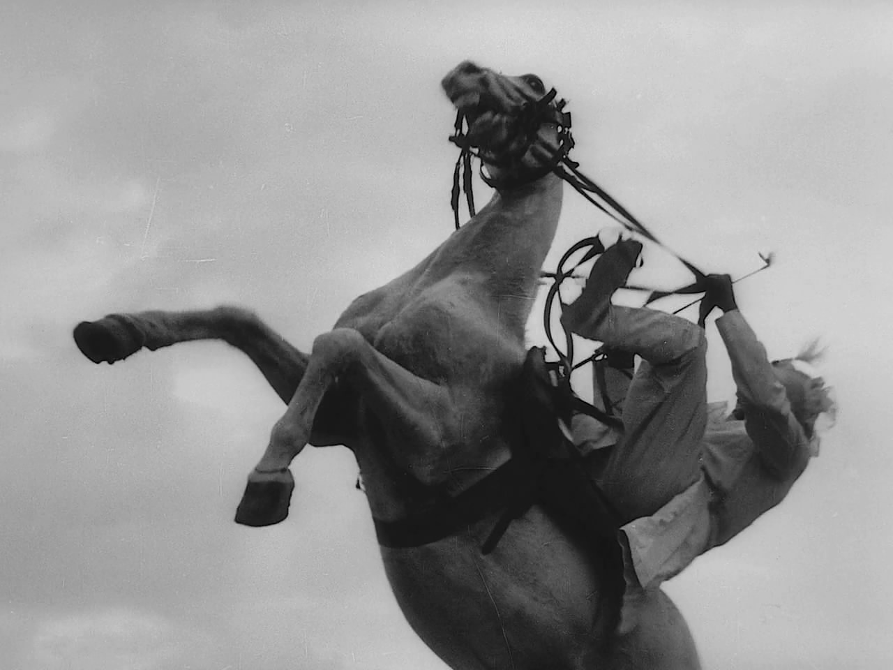 音乐室剧照的剧照