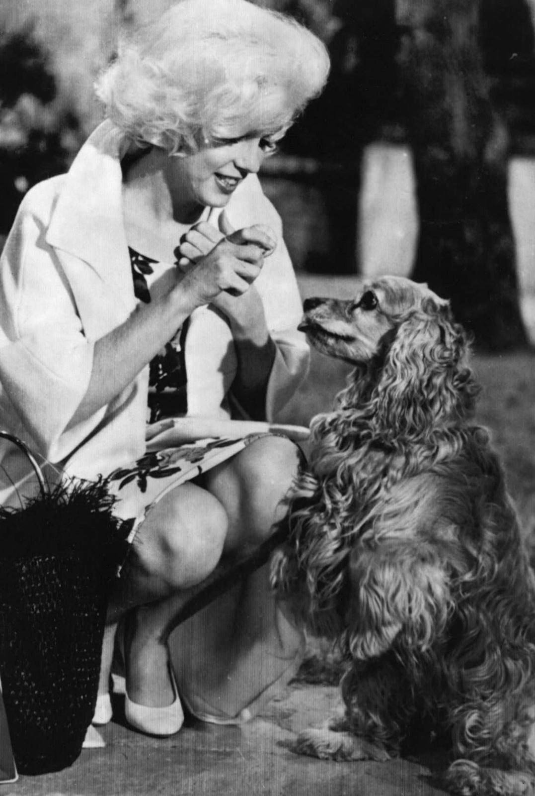 濒于崩溃剧照的剧照