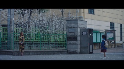 白小姐剧照的剧照