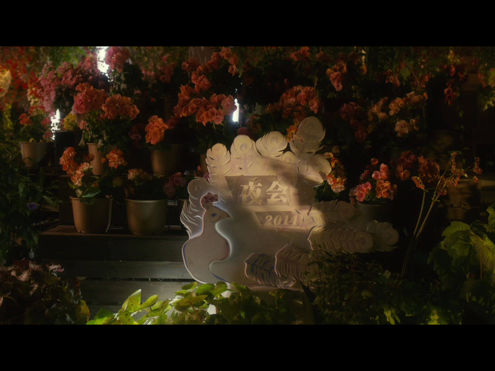 生缝寸尺心剧照的剧照