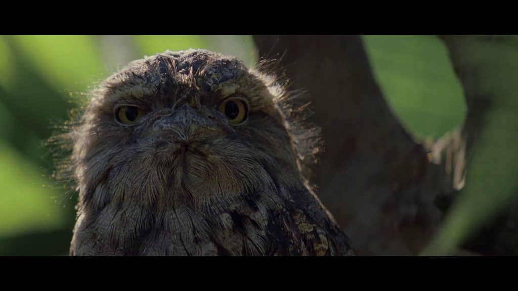 细细的红线剧照的剧照