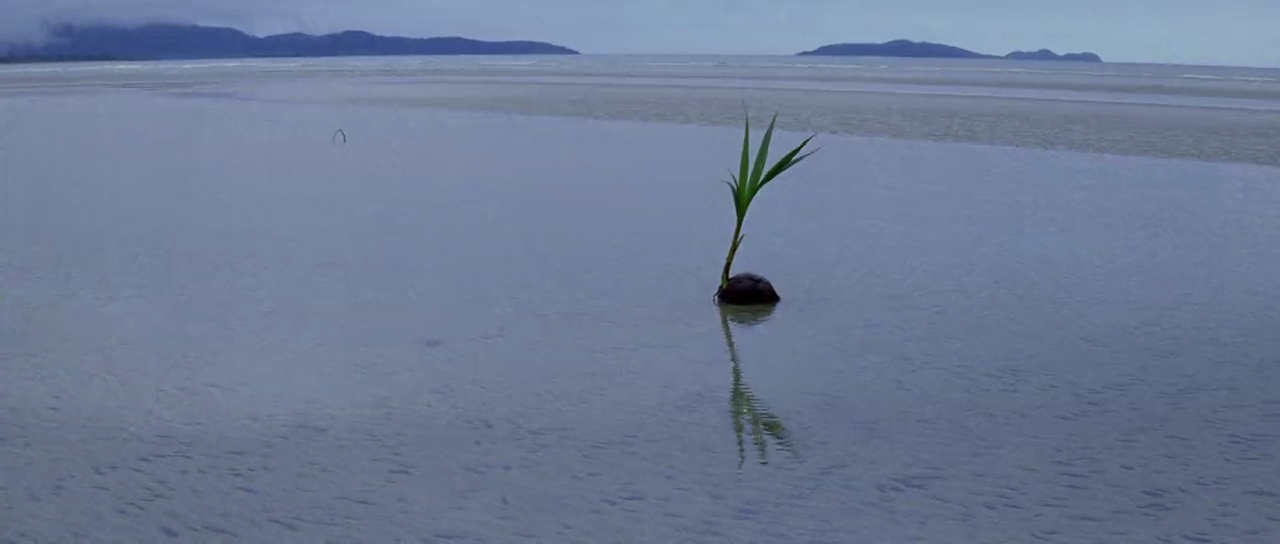 细细的红线剧照的剧照