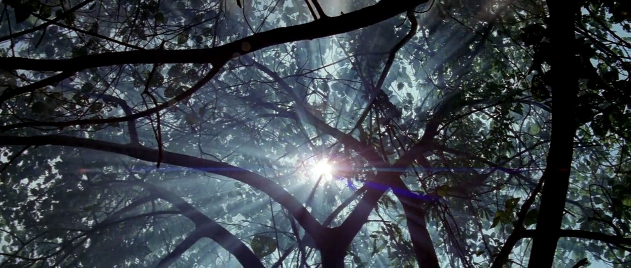 细细的红线剧照的剧照