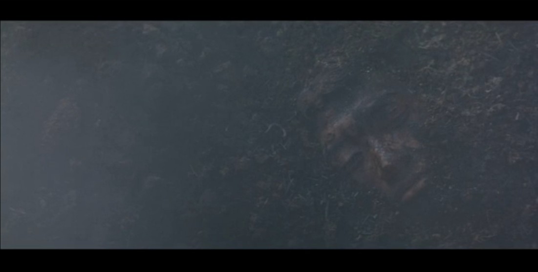 细细的红线剧照的剧照