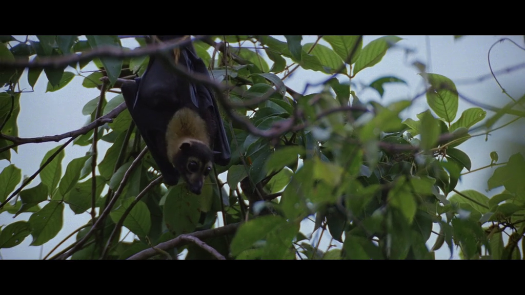 细细的红线剧照的剧照