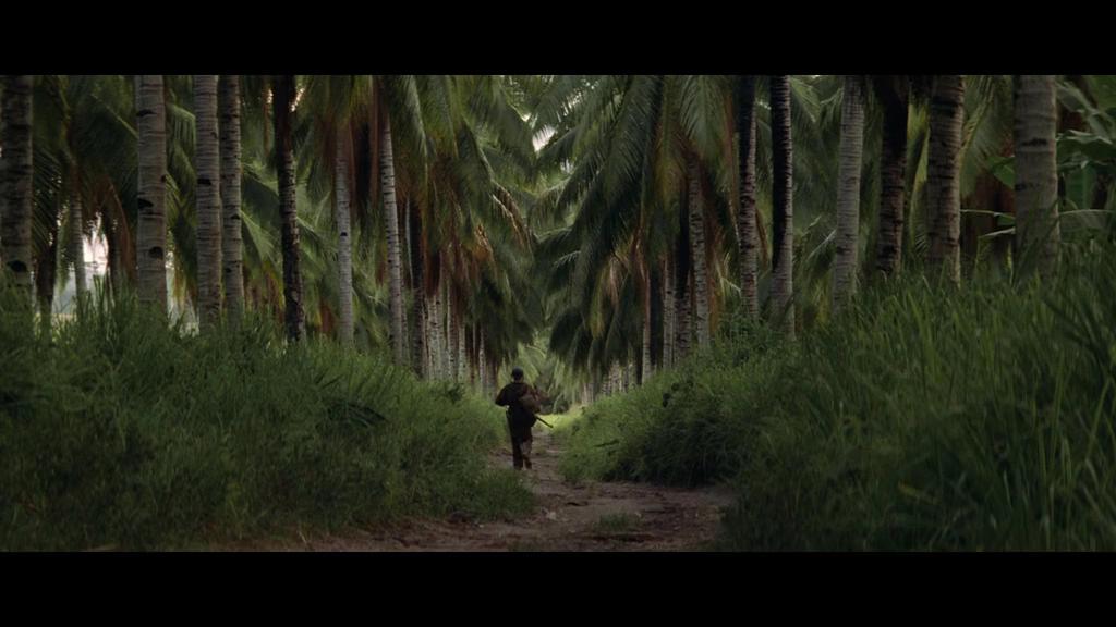 细细的红线剧照的剧照