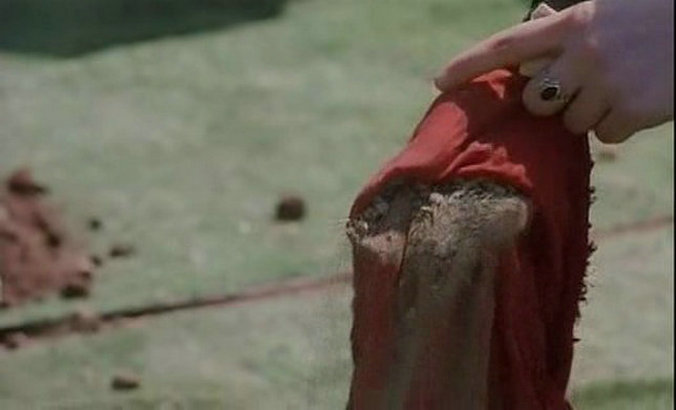 土地与自由剧照的剧照