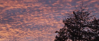 诊所惊魂剧照的剧照