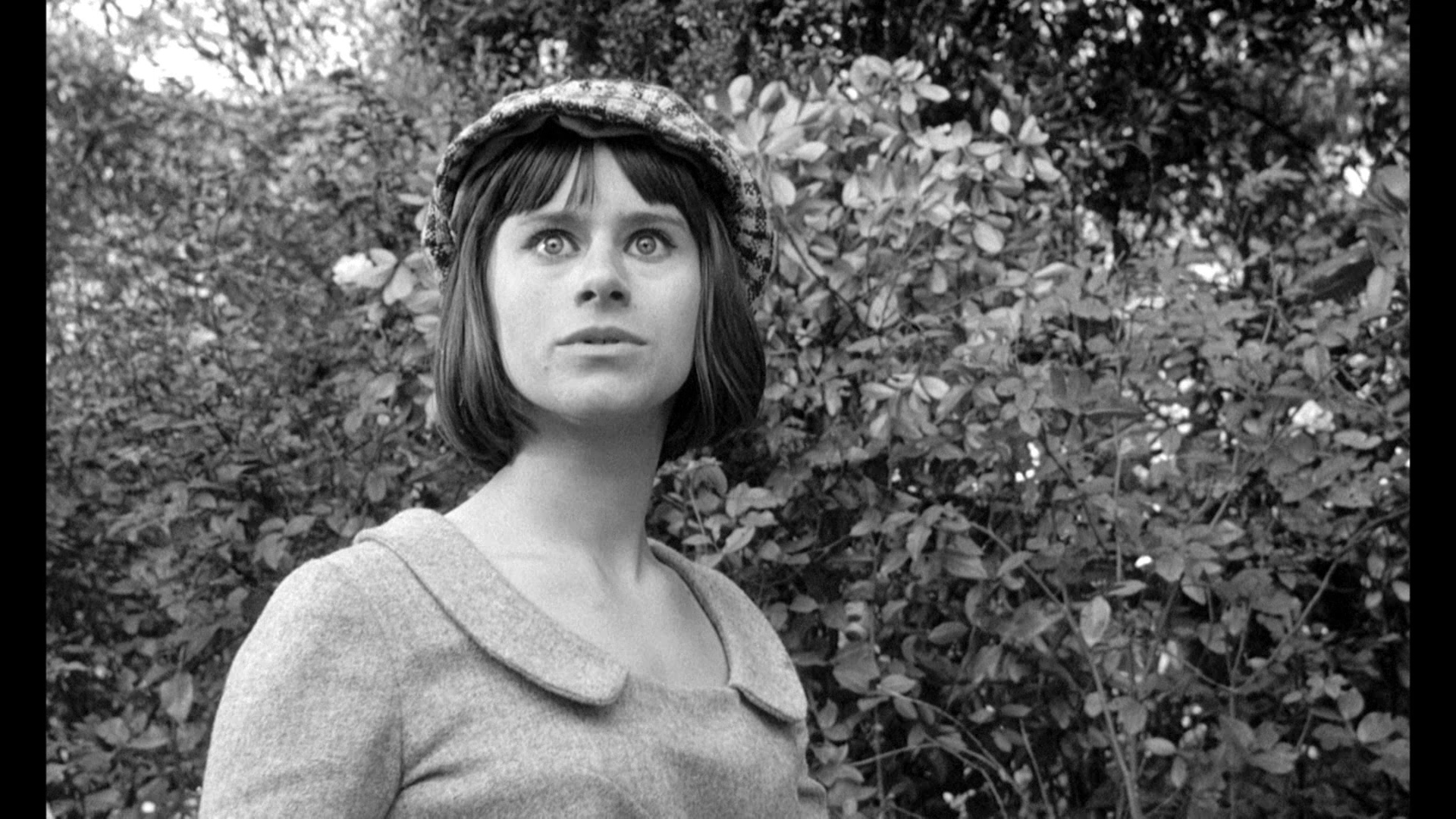 诀窍剧照的剧照