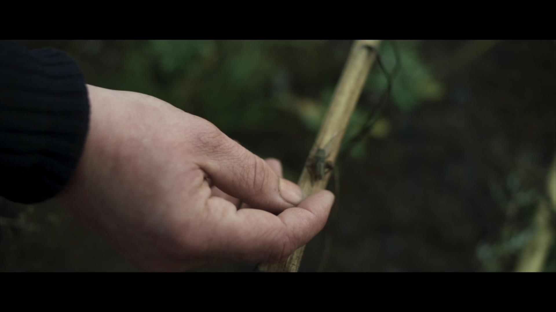 边境剧照的剧照