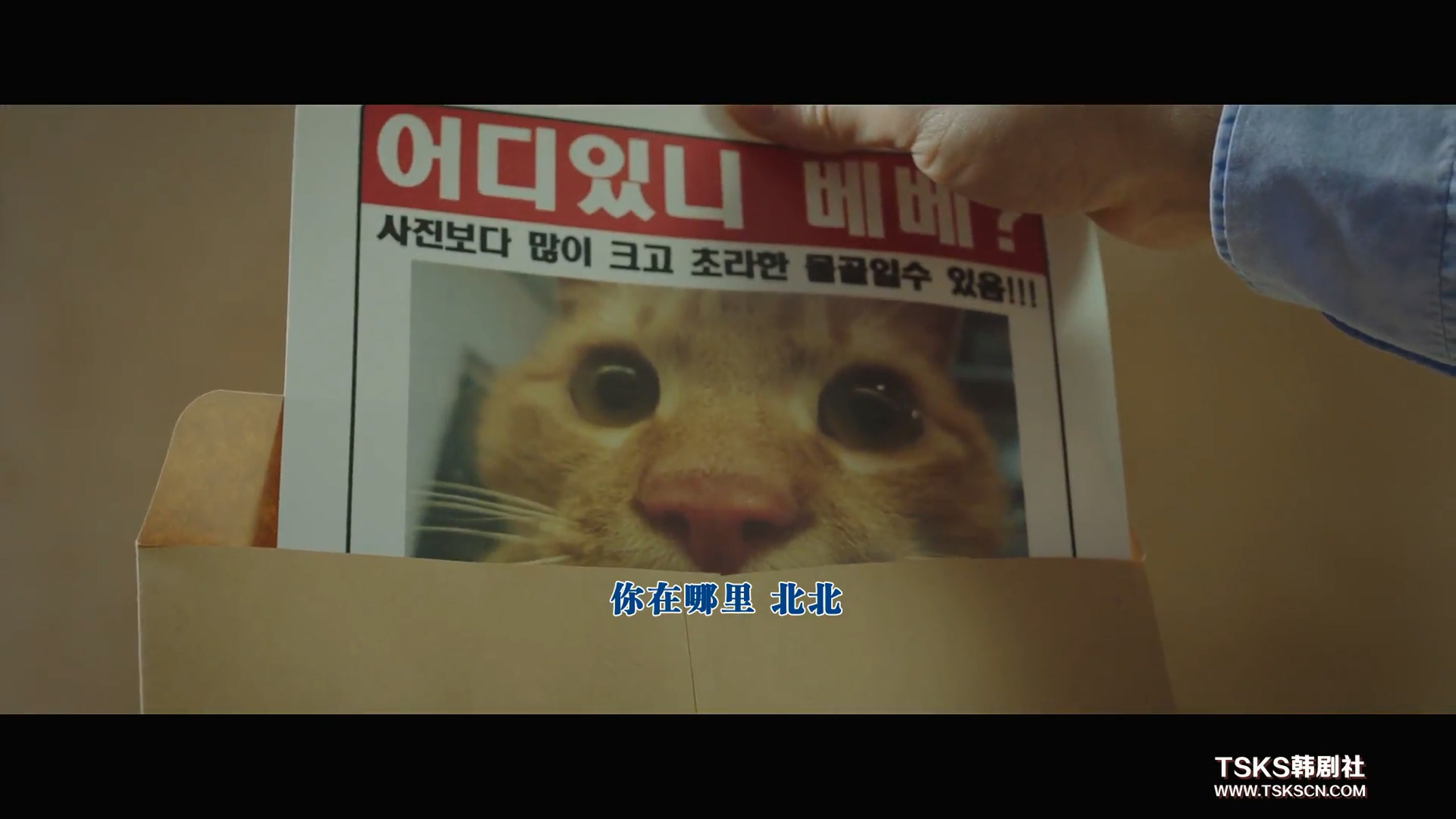 侦探2剧照的剧照