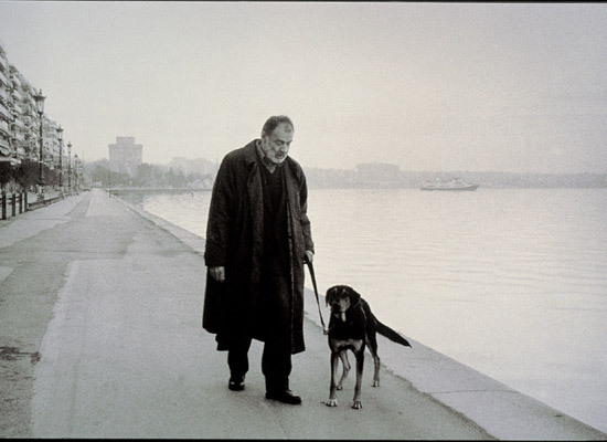 永恒和一日剧照的剧照