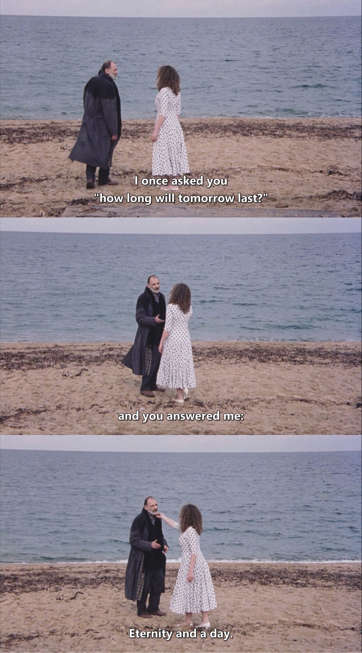 永恒和一日剧照的剧照