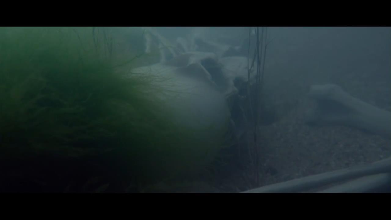 信仰的阴谋剧照的剧照