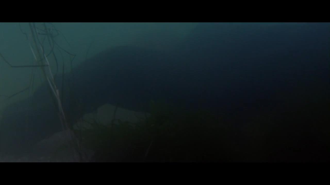 信仰的阴谋剧照的剧照