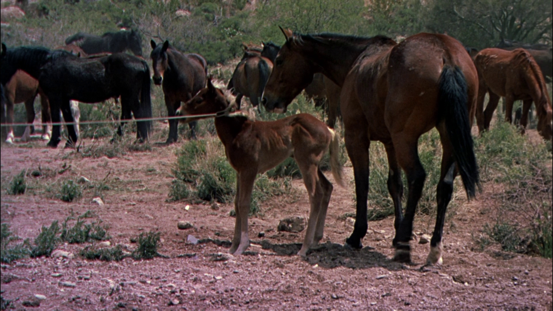 三个暴力狂剧照的剧照