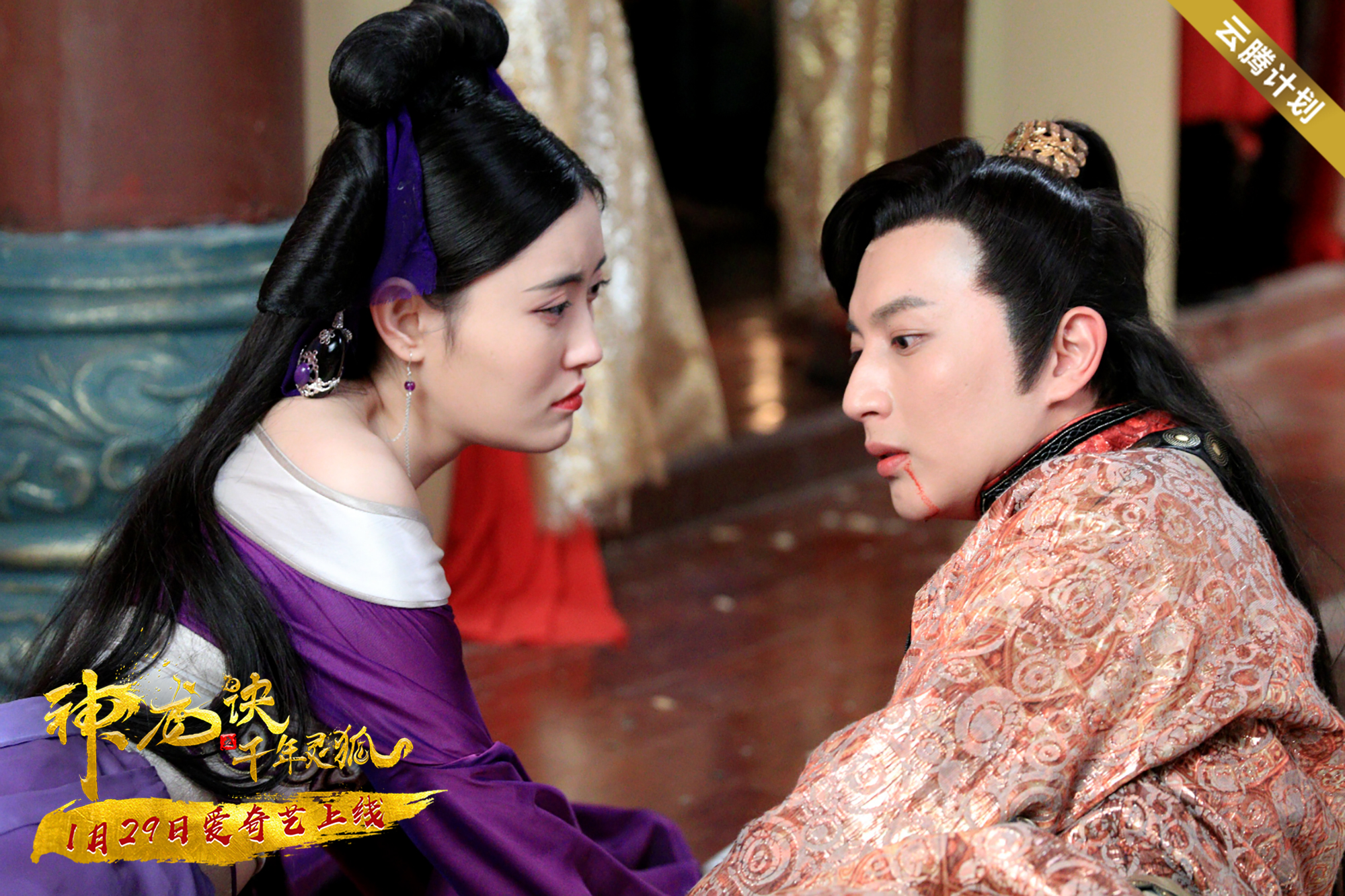 神龙诀之千年灵狐剧照的剧照