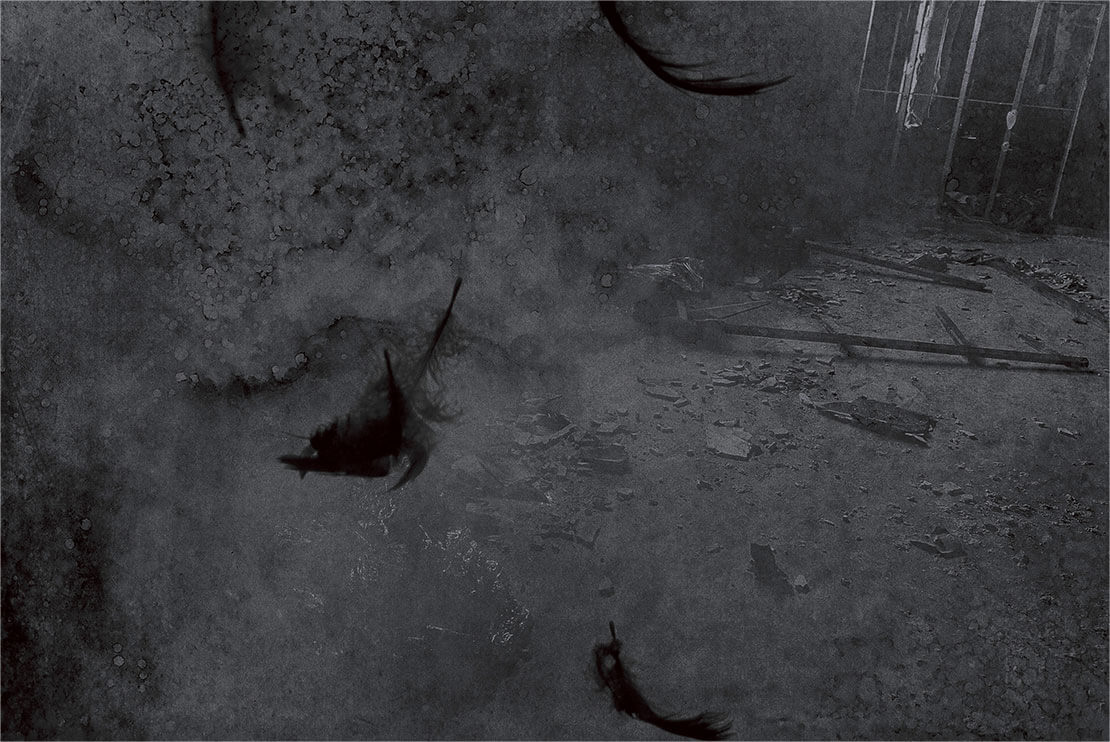 不能犯剧照的剧照