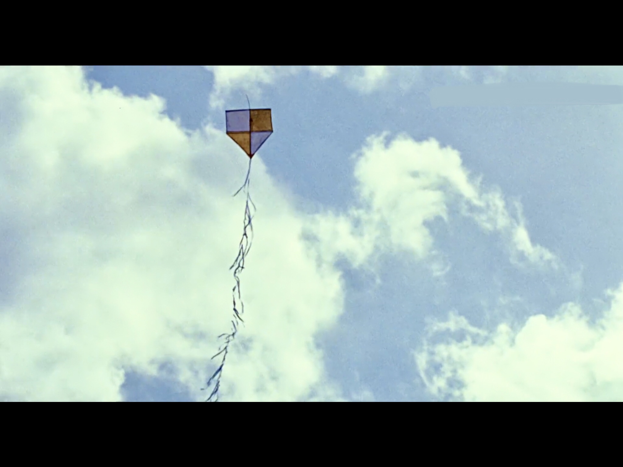 我亲爱的甜橙树剧照的剧照