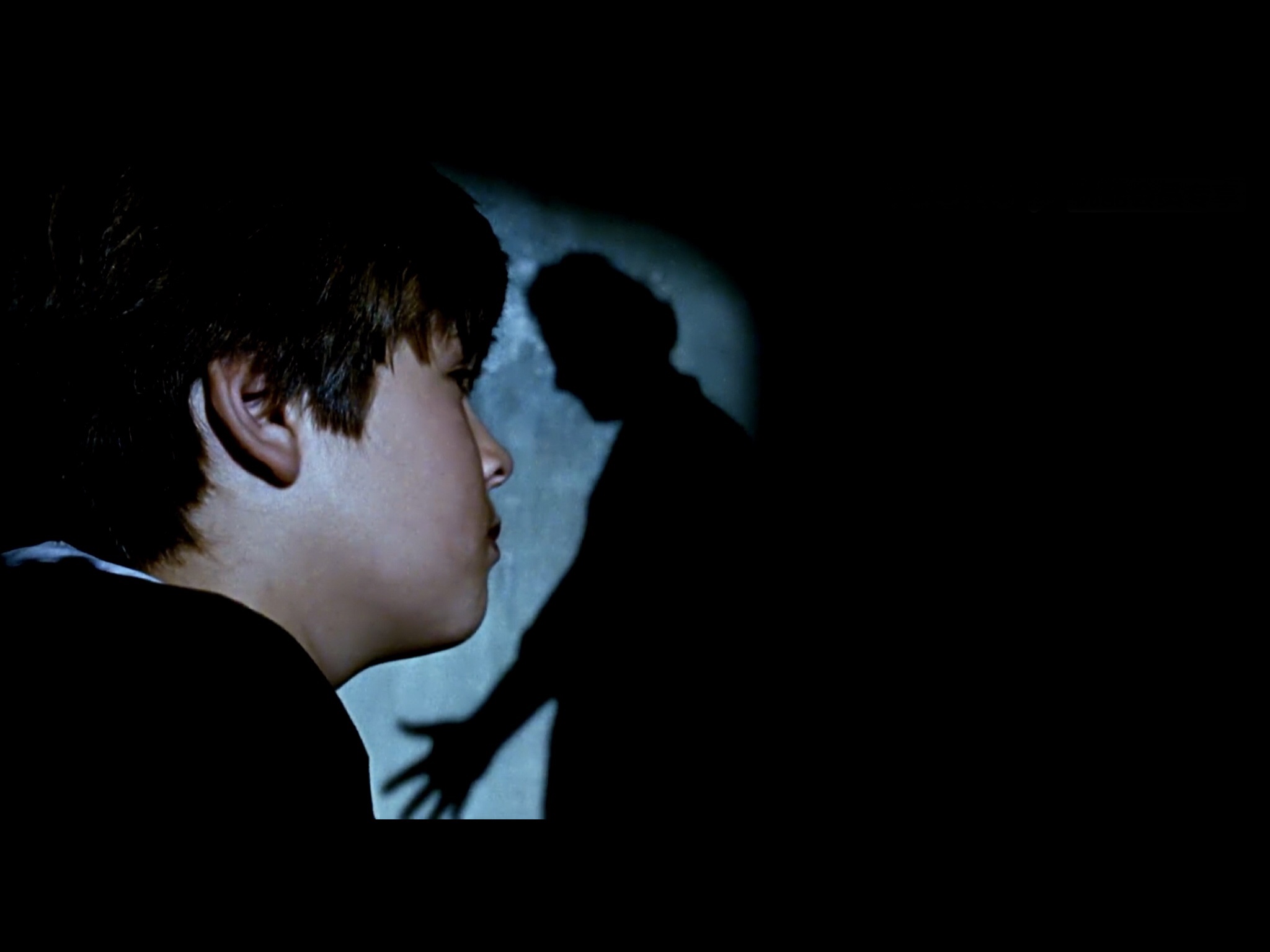 我亲爱的甜橙树剧照的剧照