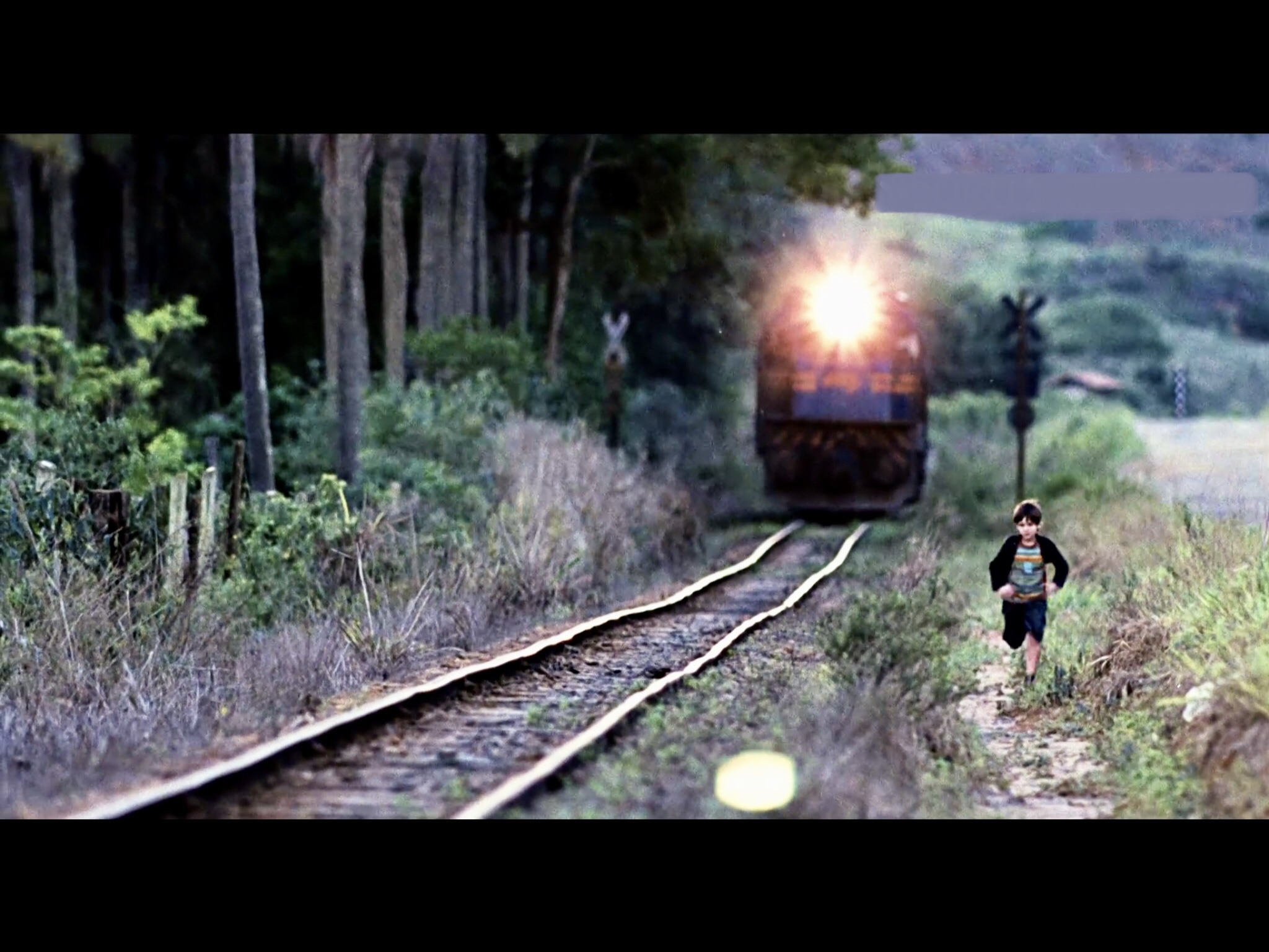 我亲爱的甜橙树剧照的剧照