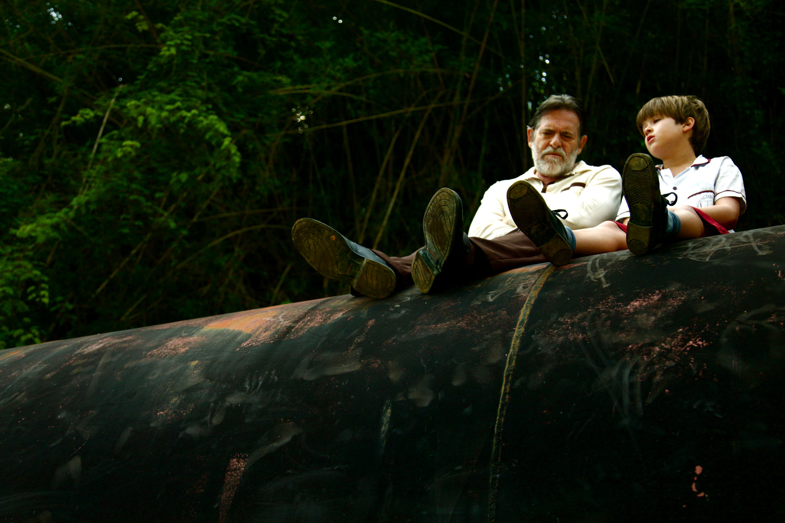 我亲爱的甜橙树剧照的剧照