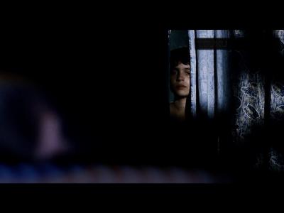 我亲爱的甜橙树剧照的剧照