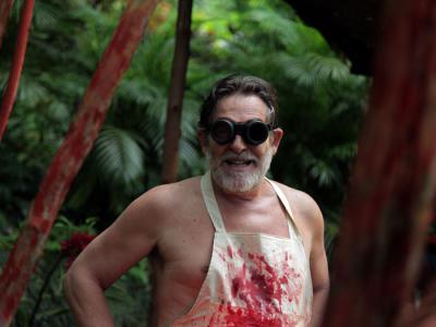 我亲爱的甜橙树剧照的剧照