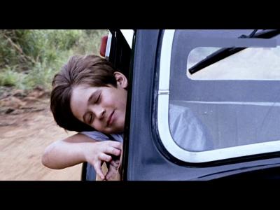 我亲爱的甜橙树剧照的剧照