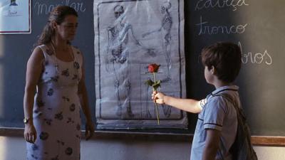 我亲爱的甜橙树剧照的剧照