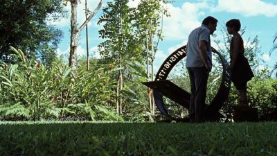 我亲爱的甜橙树剧照的剧照