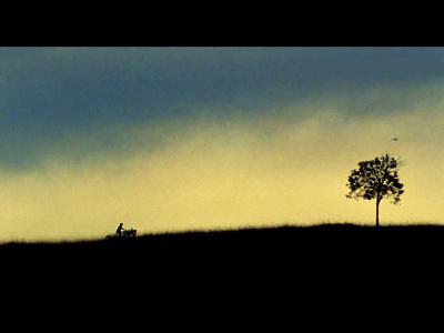 我亲爱的甜橙树剧照的剧照