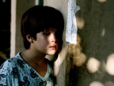 我亲爱的甜橙树剧照的剧照