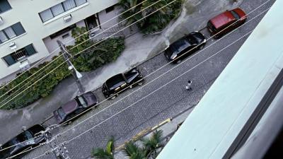 我亲爱的甜橙树剧照的剧照