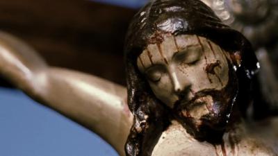 我亲爱的甜橙树剧照的剧照