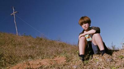 我亲爱的甜橙树剧照的剧照