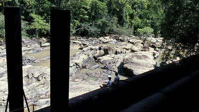 我亲爱的甜橙树剧照的剧照