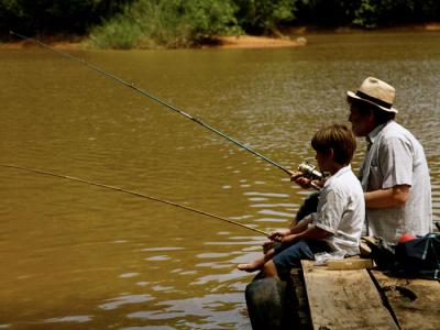 我亲爱的甜橙树剧照的剧照